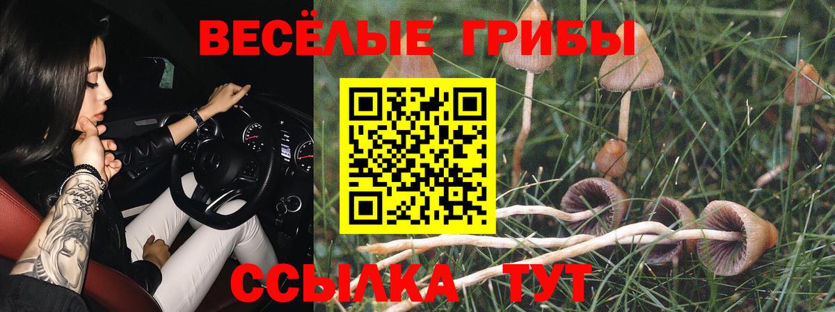Новодвинск  Псилоцибиновые грибы мухоморы  Вход с VPN 